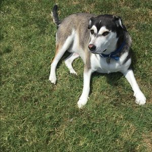 Meet your Posher, Add